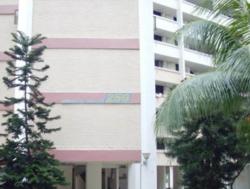 Blk 250 Jurong East Street 24 (Jurong East), HDB 3 Rooms #104408562